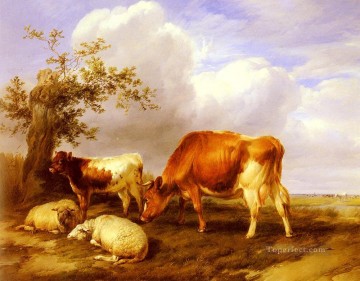  Cooper Pintura - En Canterbury Meadows animales de granja ganado Thomas Sidney Cooper